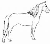 Pferd Ausmalbild Ausmalbilder Pferde Kategorien sketch template