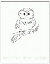 Forest Traceable Woodland Owls Birijus sketch template