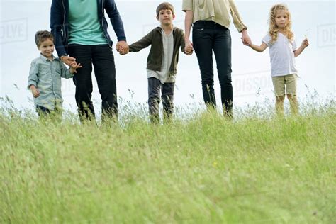family holding hands  outdoors cropped stock photo dissolve