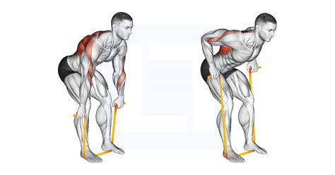 Resistance Band Bent Over Row Guide Benefits And Form