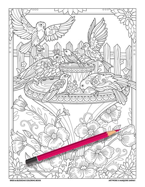 birdbath final animal coloring pages coloring books illustration design