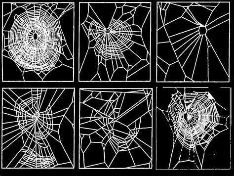 Quiz What Drugs Were These Spiders On When They Made Their Webs The