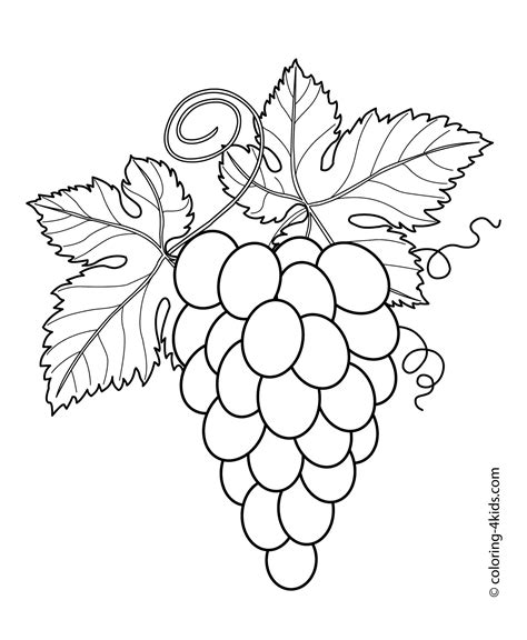 grapes coloring pages  print vegetable coloring pages leaf