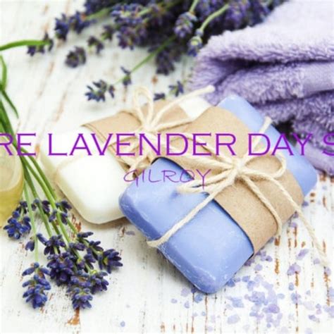 pure lavender day spa instagram facebook linktree