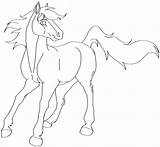 Paarden Kleurplaten Dieren Kleurplaat Equine Lineart Coloriages Animaatjes Animes Cliparting sketch template