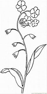 Forget Coloring Pages Flowers Drawing Printable Color Online Clipart sketch template