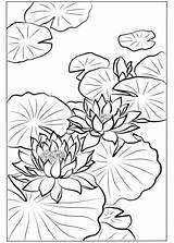 Lotus Hodo Nishimura Fiori Loto Blossoms sketch template