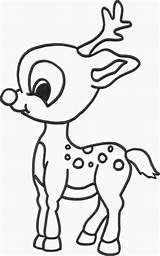 Deer Cartoon Drawing Getdrawings Coloring Baby sketch template