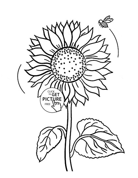 cute coloring pages sunflower printable coloring pages