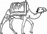 Camel Drawing Clipart Caravan Schwarz Stock Kamel Getdrawings Vector Illustration Zeichnungen Clipartmag Gemerkt Von sketch template