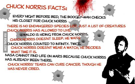 chuck norris facts 9gag