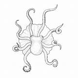 Outline Tentacles Px sketch template
