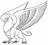 Griffin Gryphon Griffon sketch template