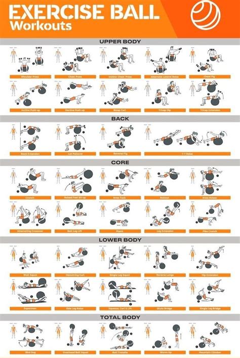 Exercise Ball Workout Chart Printable Exercise Ball