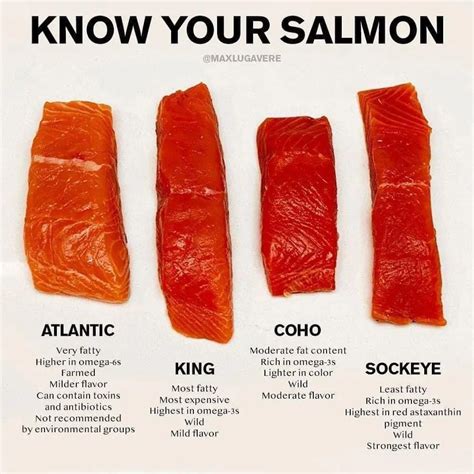 salmon carnivorediet