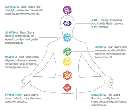 the 7 primary chakras blue turtles a manufacturer and wholesale