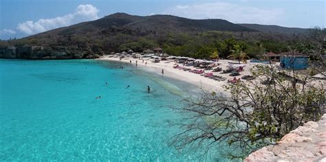 playa abou grote knip curacao dive site information
