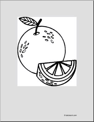 oranges coloring page printable large image coloring page template