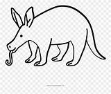 Aardvark Kangaroo Pinclipart Clipground sketch template