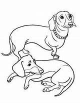 Coloring Weiner Dog Printable Getcolorings Dachshund sketch template