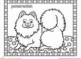 Coloring Pomeranian Pages Dog Color Designlooter Puppies Cat Book Drawing Kids Visit 63kb 258px sketch template