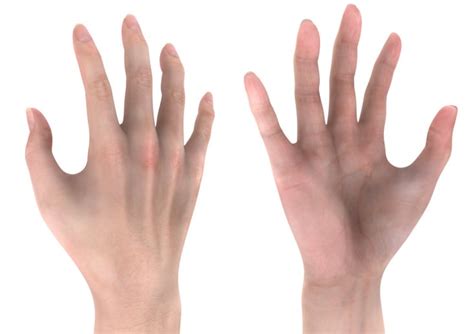 human hand  modell  texture  kathrin guentherdasauge
