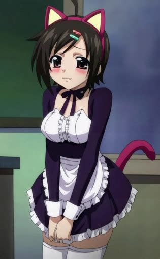hh 3 busty neko maids luscious hentai manga and porn