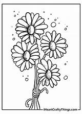 Daisies sketch template