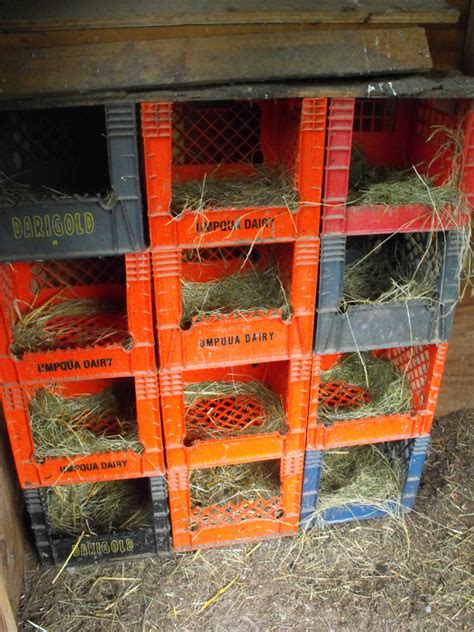 easy cheap diy chicken nesting boxes