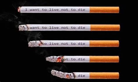 Say No To Smoking Say Yes To Life 13 March World No