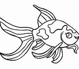 Coloring Tuna Pages Fish Drawing Fishing Printable Betta Rod Getcolorings Getdrawings Reef Clipartmag Coral Easy Print sketch template