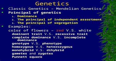 Genetics Classic Genetics – Mendelian Genetics [ppt Powerpoint]