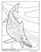 Dinosaurs Ichthyosaurus Elasmosaurus Colouringpages Colouring Colorare Mammals sketch template