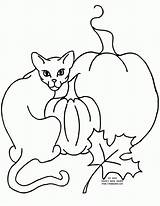 Coloring Pages Cat Scary Spooky Library Clipart Coloringhome sketch template
