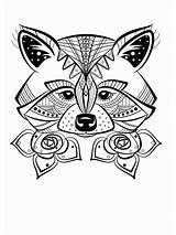 Raccoon Zentangle sketch template