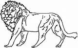 Colorat Narnia Animale Salbatice Aslan Poze Leu Planse Desene Chronicles Imprima 색칠하기 색칠 sketch template