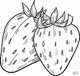 Strawberries Printable Supercoloring sketch template