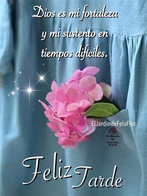 tarjetas spanish quotes funny funny quotes amor quotes bible quotes good day quotes quote