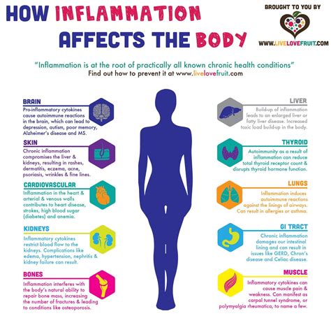 learn  inflammation affects  body     rid