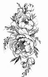 Drawing Peony Outline Drawings Paintingvalley sketch template