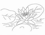 Lotus Coloring Pages Flower Printable Flowers Kids Mandala Popular Bestcoloringpagesforkids Library Clipart Choose Board Coloringhome sketch template