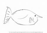 Draw Unicornfish Drawing Step Fishes Tutorials sketch template