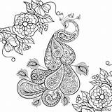 Coloring Pages Peacock Stress Zentangle Anti Totem Adult Vector Paisley Flowersfor Illustration Printable Sketch Drawing Therapy Doodle Stock Flowers Getdrawings sketch template