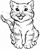 Coloring Cat Pages Tabby Cute Realistic Wild Kitty Cartoon Printable Color Drawing Cats Roaring Real Print Scary Colouring Meal Kids sketch template