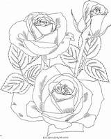 Coloring Fleur Impressionnant sketch template