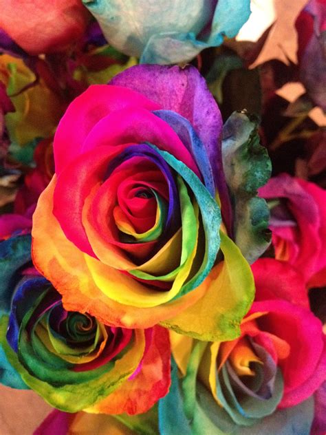story  quik pik flowers rainbow rose