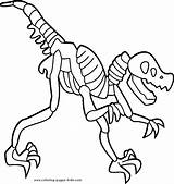 Bones Dinosaurs Colorir Dinosaurio Dinossauros Dinosaure Huesos Esqueleto Dinosaurios Animal Skeletons Imprimer Dibujo Dinosaures sketch template