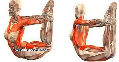 You Can Only Do These Stretches After Flaying Your Skin In