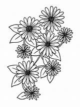 Daisy Daisies Coloriage Gaddynippercrayons sketch template