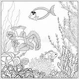Corallina Alghe Coloritura Barriera Coralli Pesce sketch template